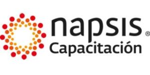 Napsis-logo-web-320x200-1-300x150
